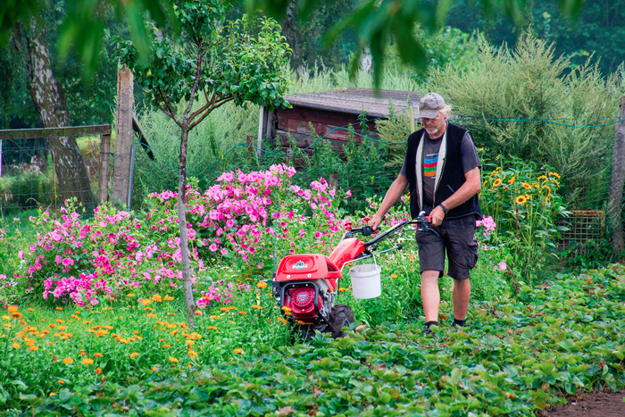 2019GartenAxelFraese